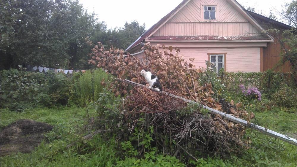 Очередная беседка.