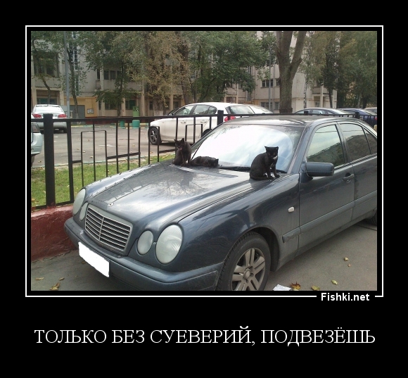 Только без суеверий, подвезёшь?