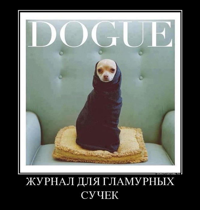 Демотиваторы