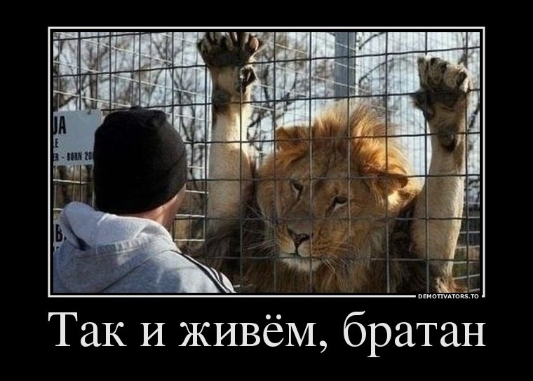 Демотиваторы