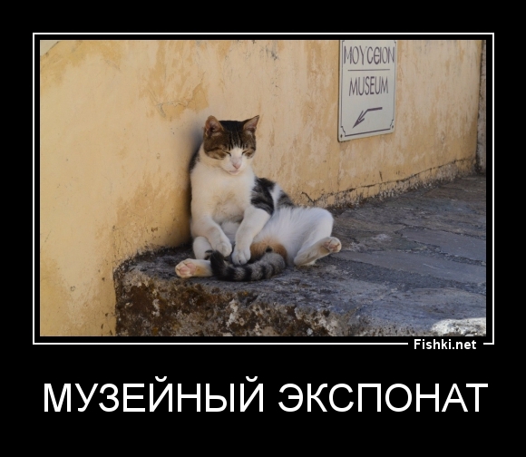 Музейный экспонат
