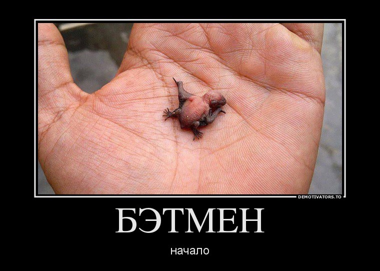 Демотиваторы