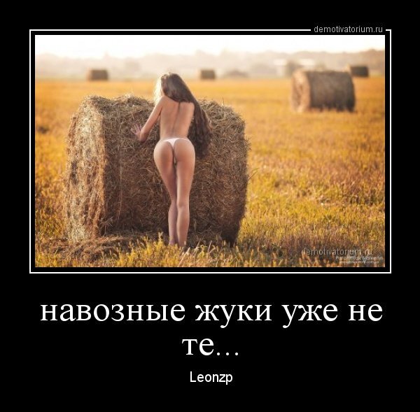 Демотиваторы