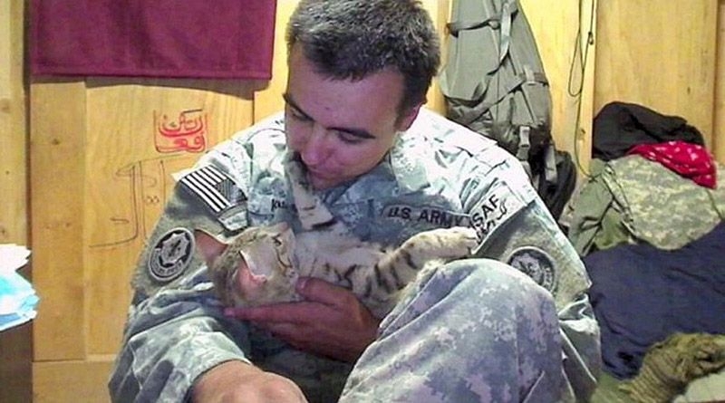 Американский солдат спас из Афганистана бродячего кота