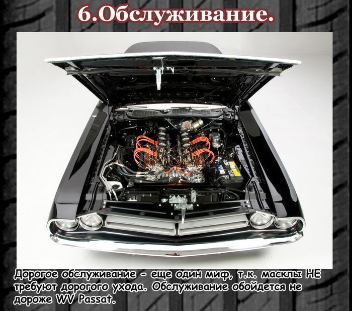 Интересные факты о  мускул-карах