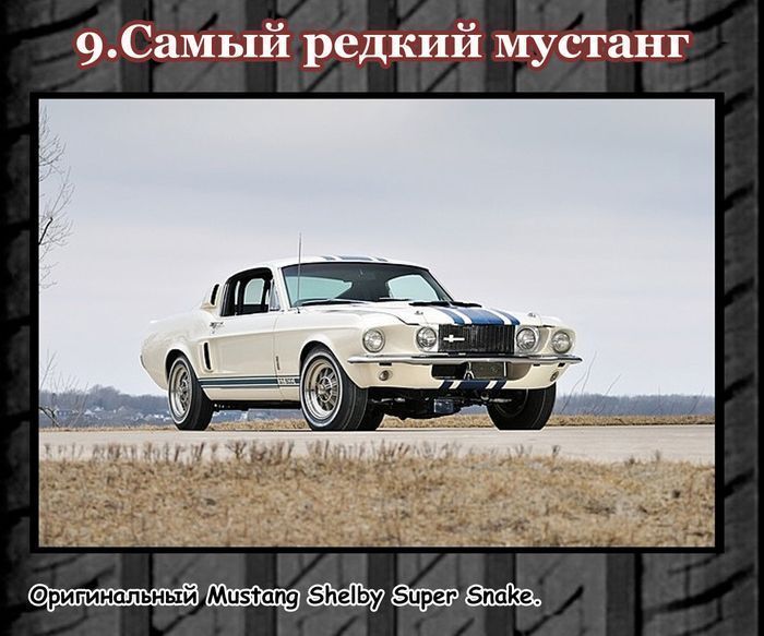 Интересные факты о  мускул-карах