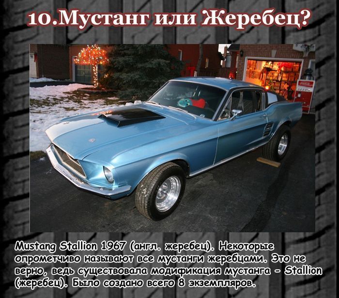 Интересные факты о  мускул-карах