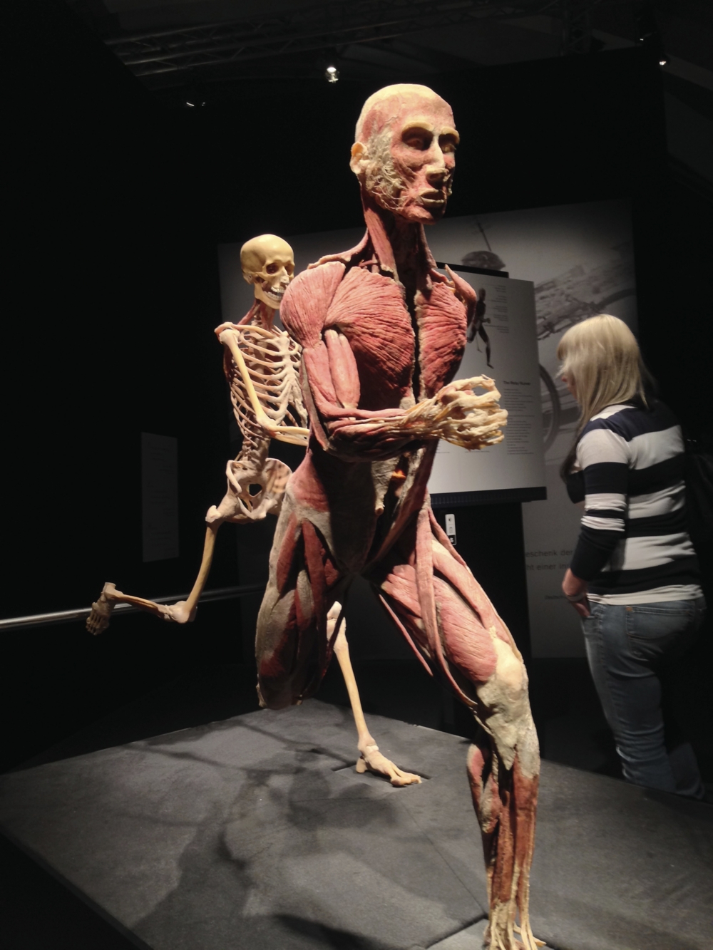 Bodyworlds Хельсинки