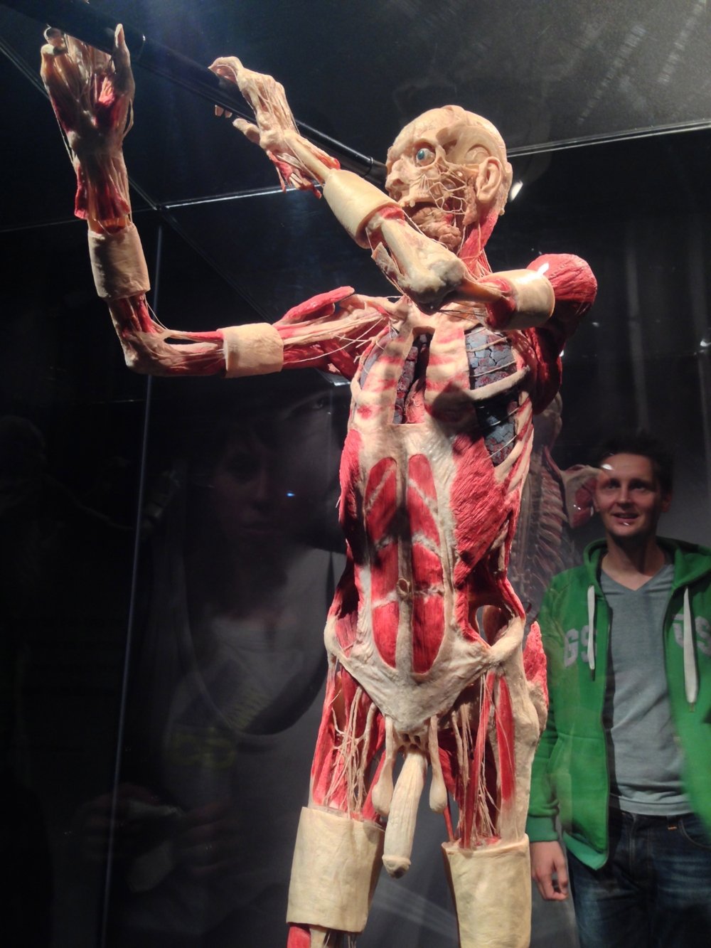 Bodyworlds Хельсинки