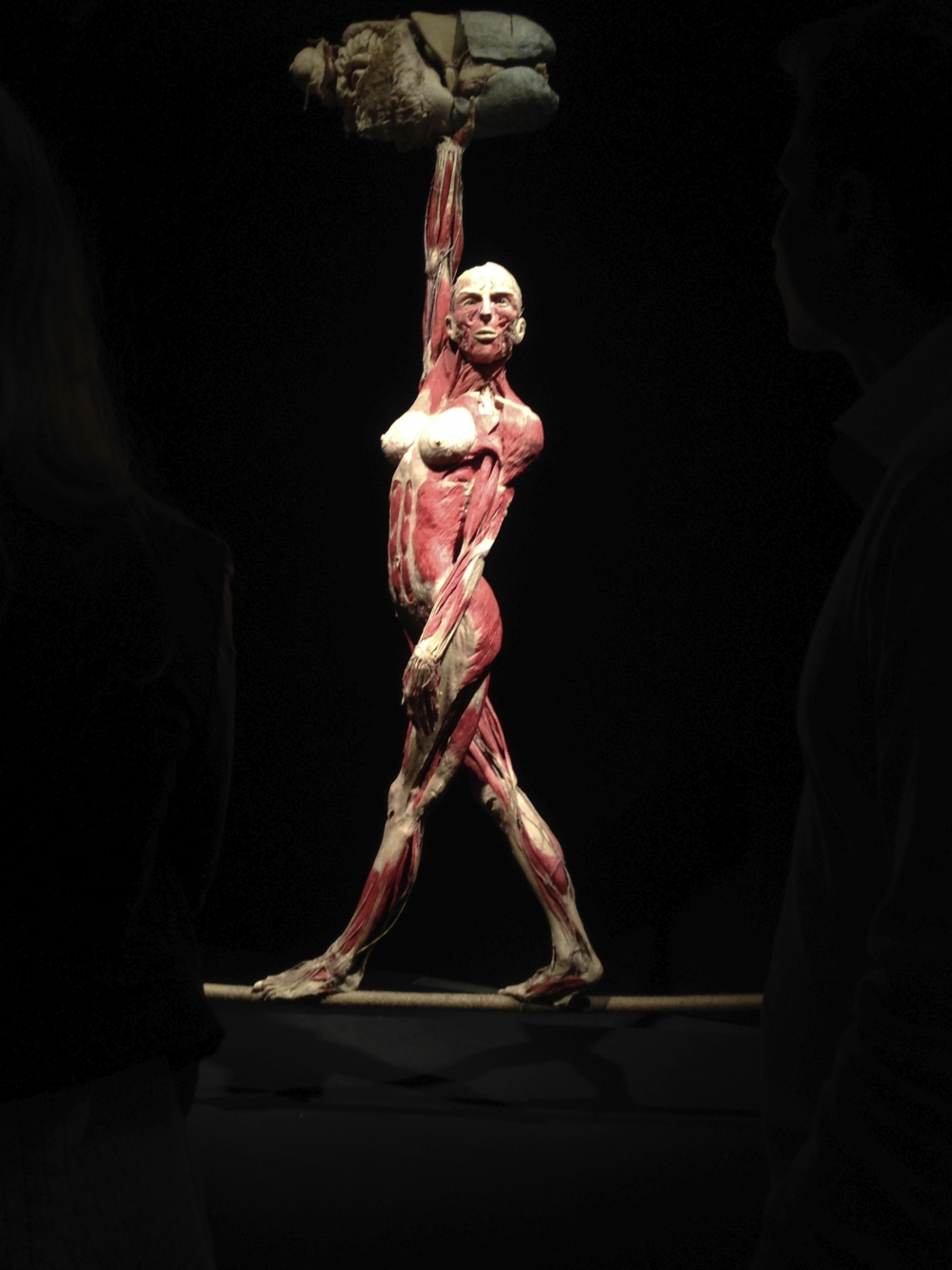 Bodyworlds Хельсинки