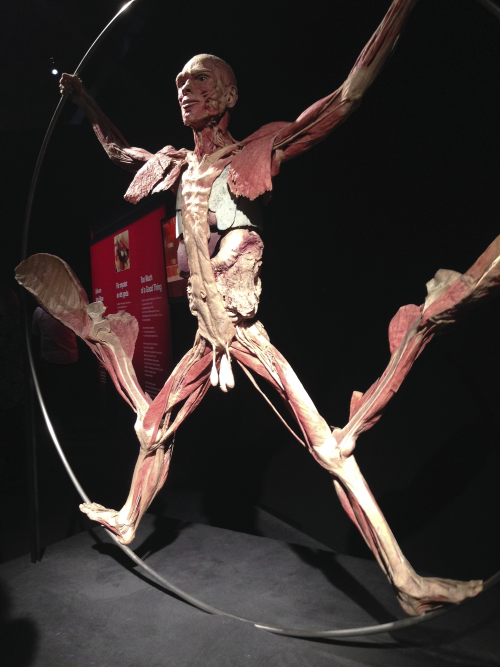 Bodyworlds Хельсинки