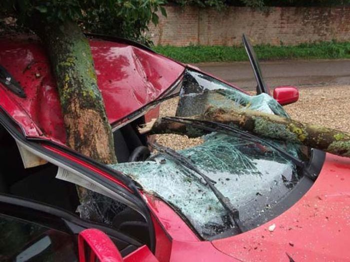 Две женщины чудом выжили в ужасной аварии