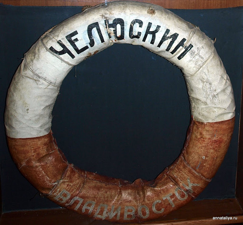 Музей Арктики и Антарктики