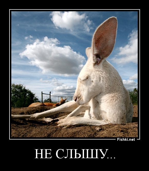 Не слышу...