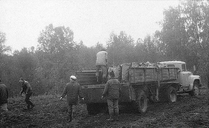 Сбор урожая в СССР