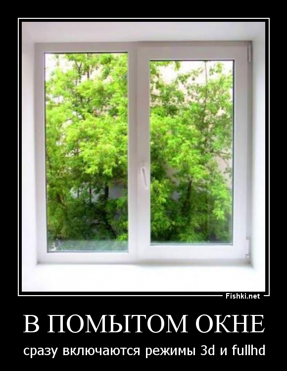 В ПОМЫТОМ ОКНЕ