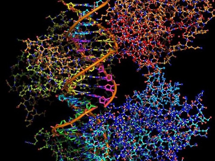 Вы можете хранить информацию в своей ДНК