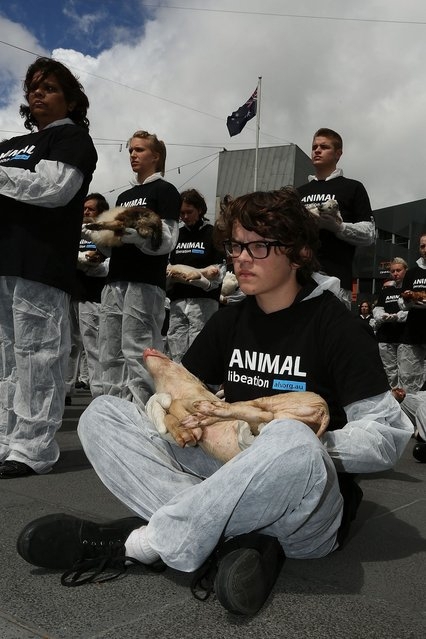 Защитники зверей провели акцию с участием 200 туш мертвых животных