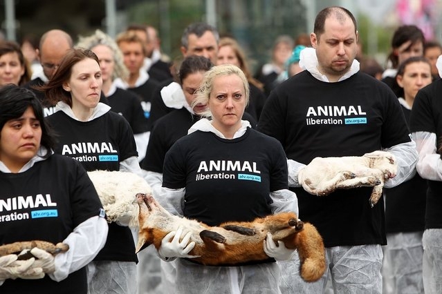 Защитники зверей провели акцию с участием 200 туш мертвых животных