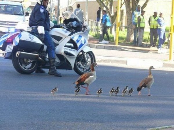 Коллекция эмоциональных снимков