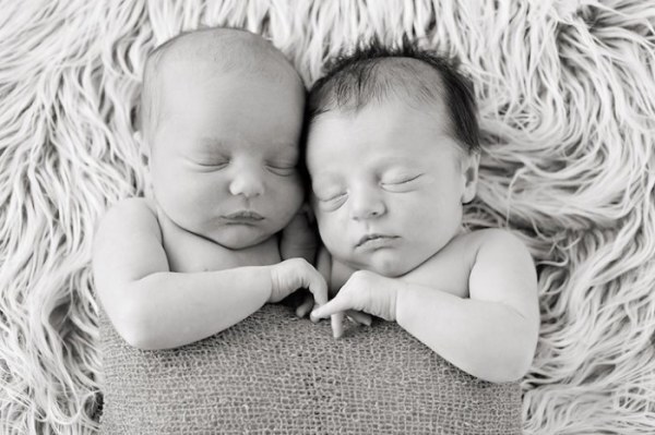 Портреты спящих младенцев от Алисии Гулд