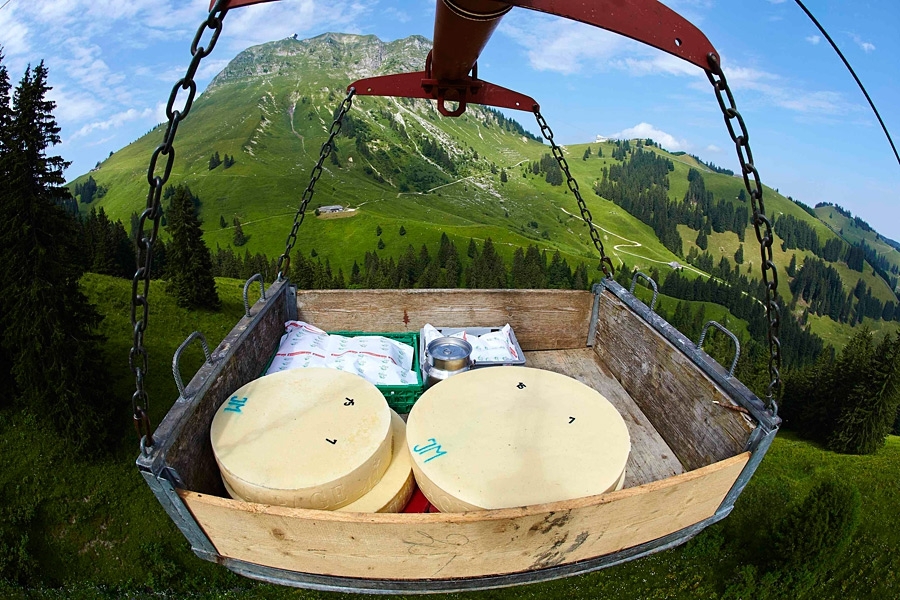 Изготовление сыра  в Швейцарии