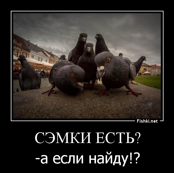 СЭМКИ ЕСТЬ?