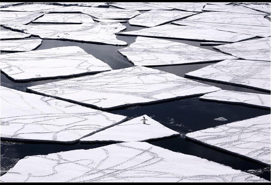 Удивительные морозные фотографии Джона Веллера