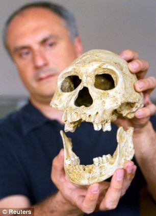 В Грузии нашли череп возрастом 1.8 миллиона лет