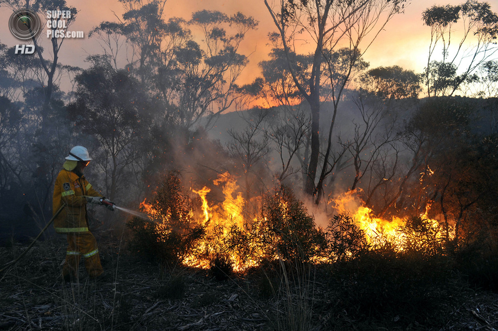 Лесной пожар ширится Австралией