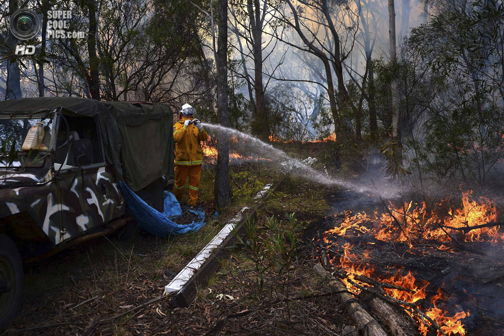 Лесной пожар ширится Австралией