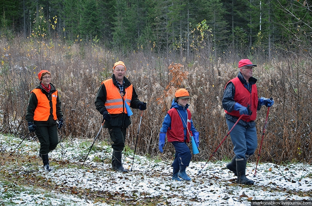 Особенности национальной охоты на лосей в Финляндии