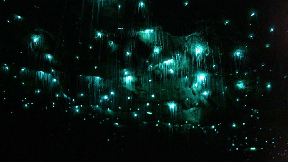 Светящиеся Пещеры Вайтомо