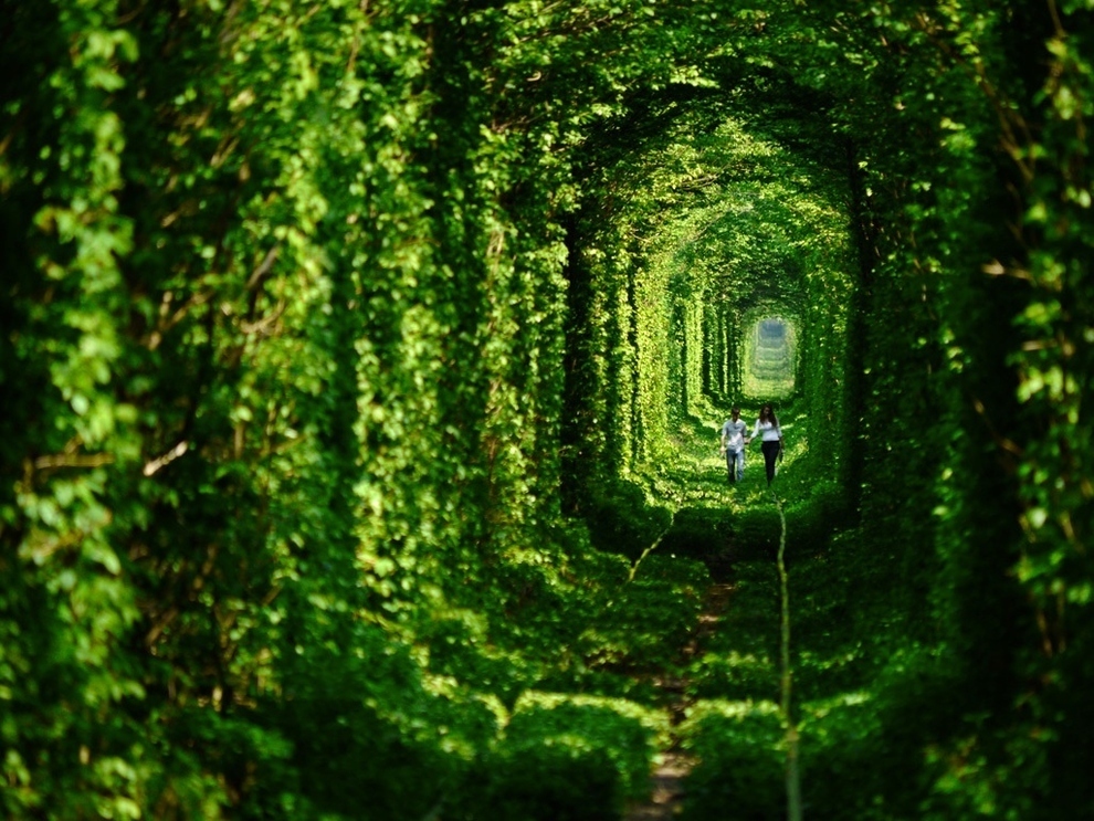 Туннель любви в Украине.