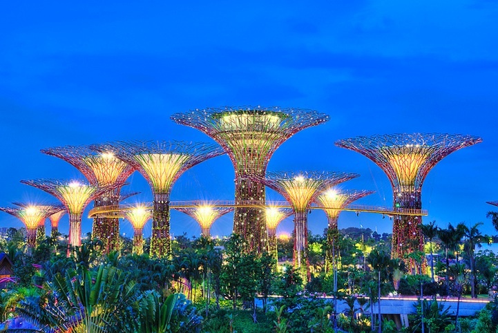  Сюрреальные супер-деревья в Сингапуре