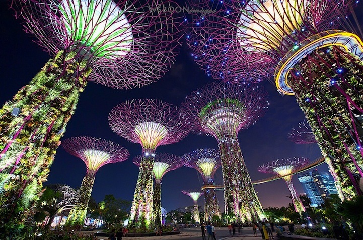  Сюрреальные супер-деревья в Сингапуре