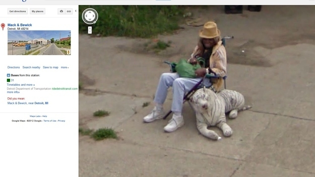 25 курьёзных и комичных момента снятых google street view