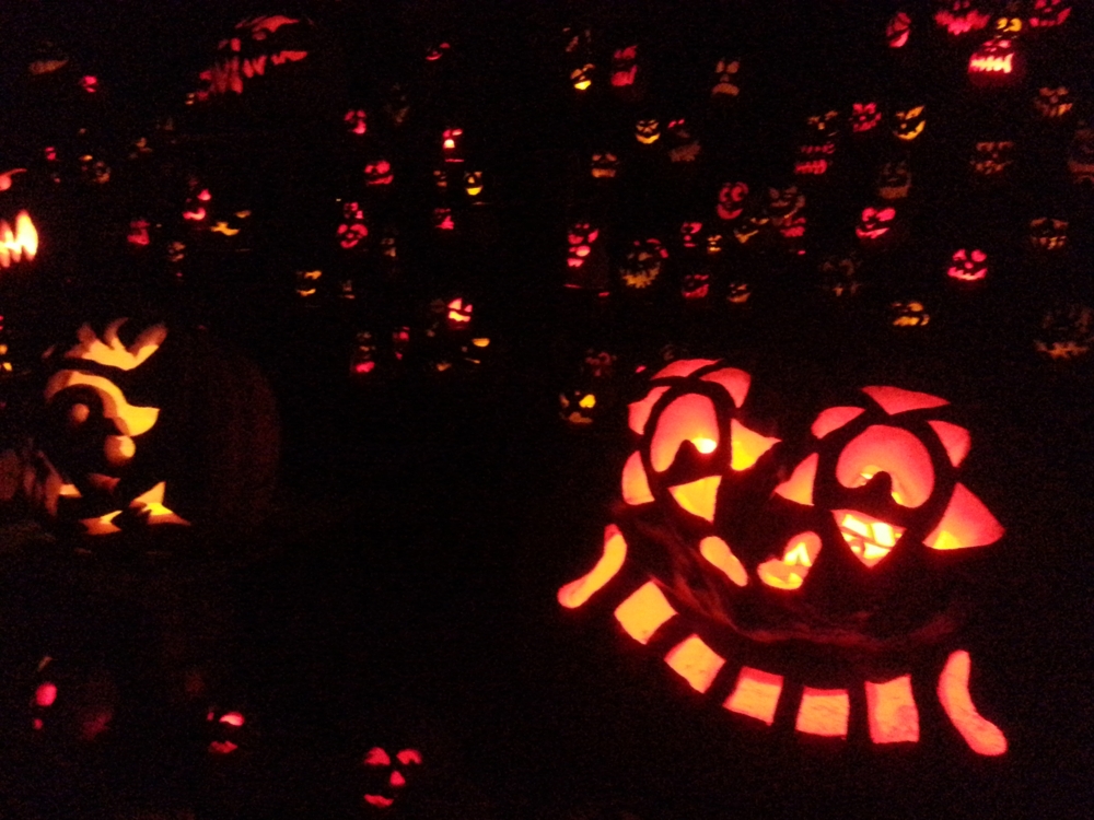 Halloween Pumpkins