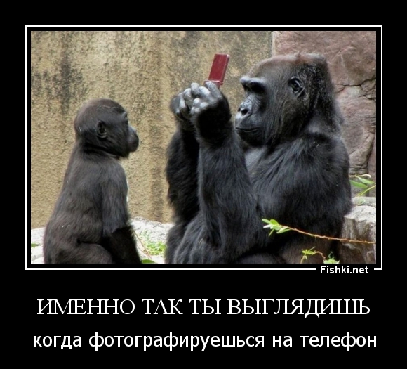 Именно так ты выглядишь