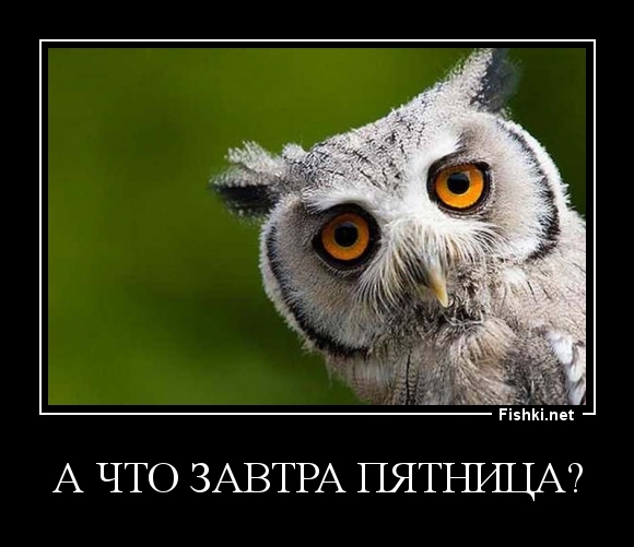 А ЧТО ЗАВТРА ПЯТНИЦА?