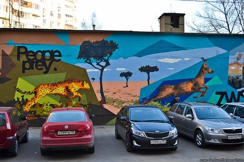 Стрит-арт работы в Бибирево