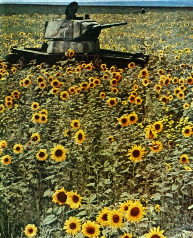 Фотографии Сталинградской битвы.