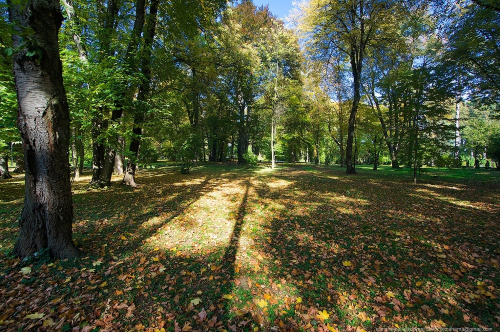 Украинский Хогвартс