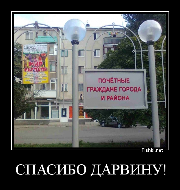 СПАСИБО ДАРВИНУ!