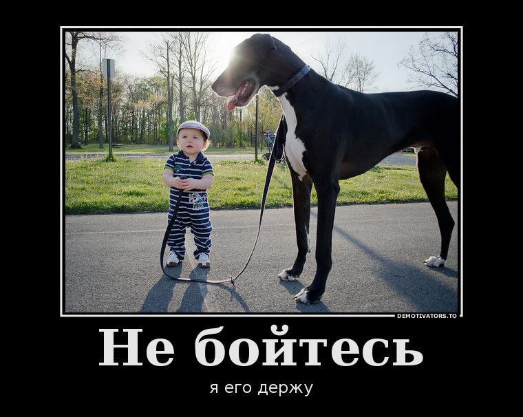 Демотиваторы