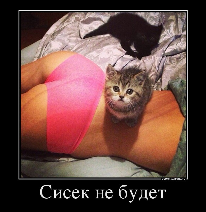 Демотиваторы