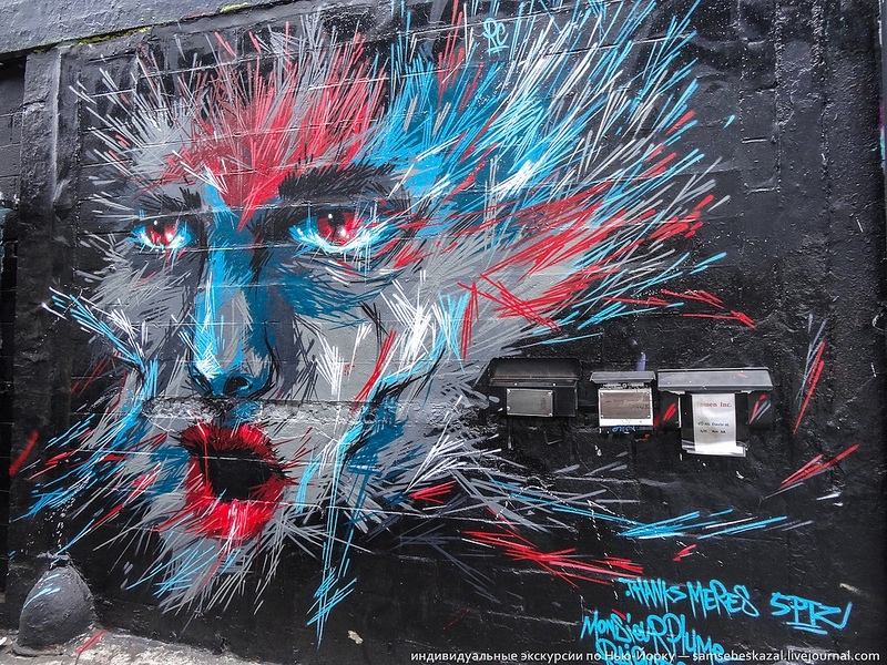 Последние дни 5pointz