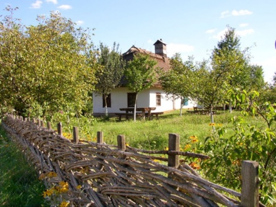 Занимательная генетика. Часть первая.