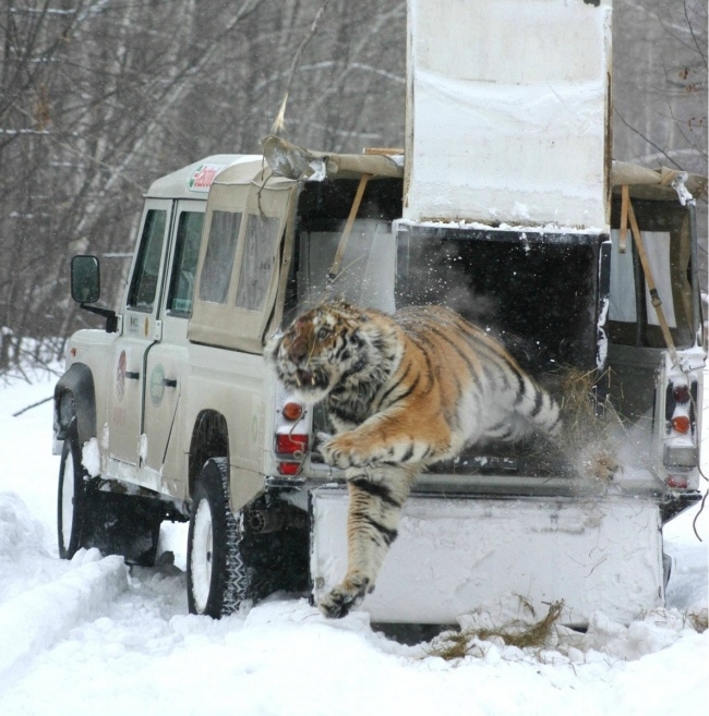 За секунду до ...