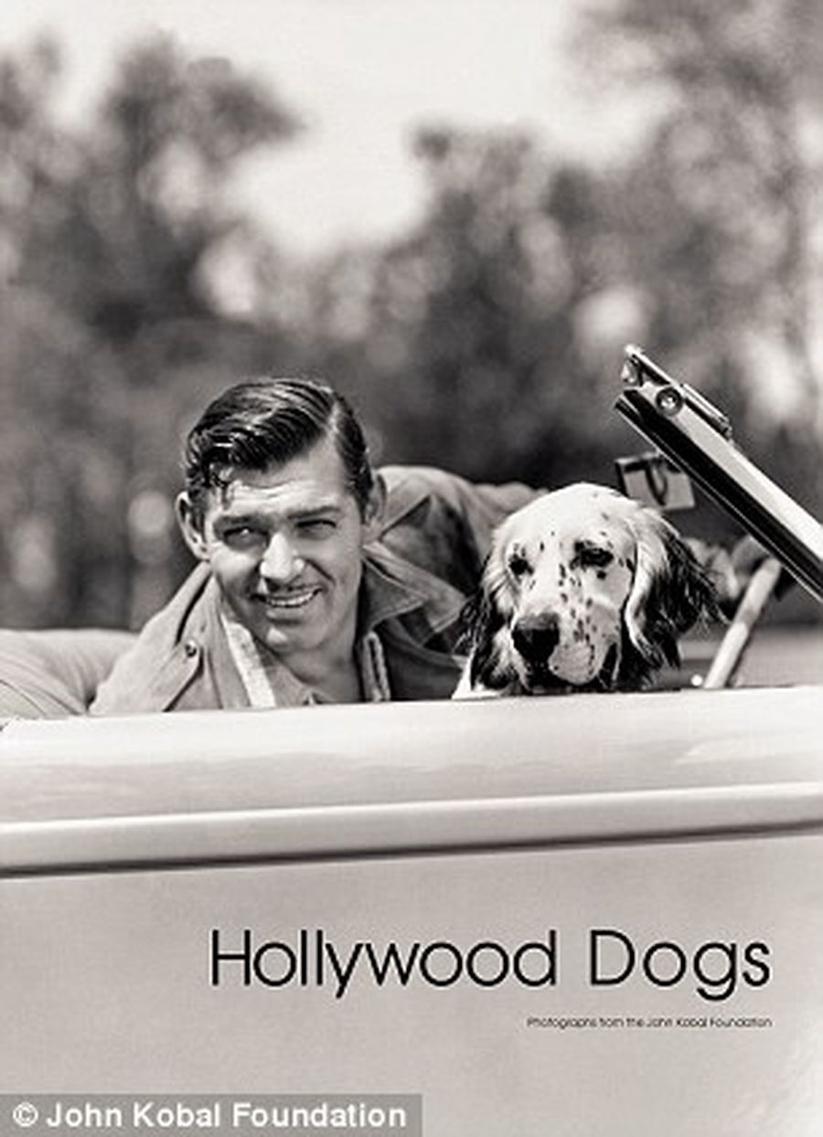 Фотографии знаменитых собак  1920-1950 х гг.